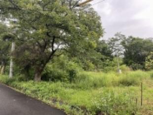 武川町山高の土地